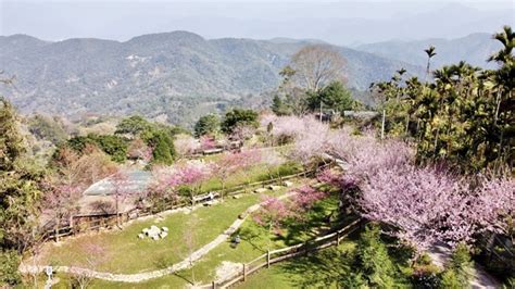 聽花山川|聽花山川